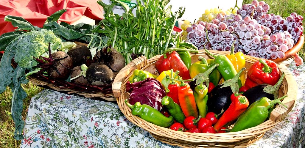 Fresh seasonal produce in a supermarket basket